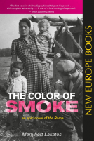 book cover for The Color of Smoke