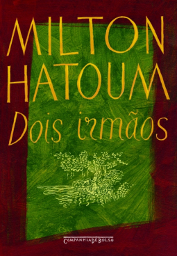 book cover for Dois irmãos
