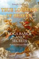 book cover for True Location of Heaven