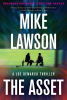 book cover for The Asset
