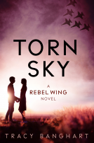 book cover for Torn Sky