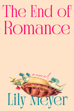 book cover for The End of Romance