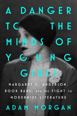 book cover for A Danger to the Minds of Young Girls