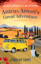 book cover for Atticus Arnott's Great Adventure