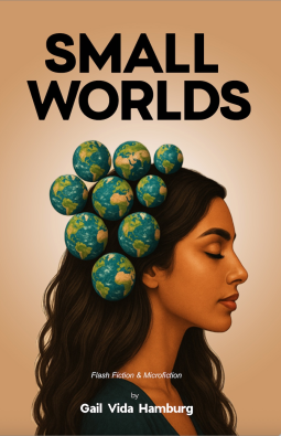 book cover for Small Worlds