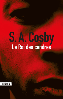 Couverture du livre pour Le Roi des cendres