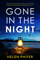 book cover for Gone in the Night (Detective Morgan Brookes Book 16)