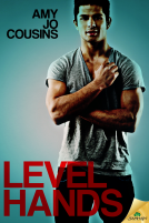 book cover for Level Hands