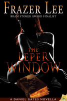 book cover for The Leper Window