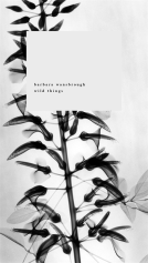 book cover for Wild Things