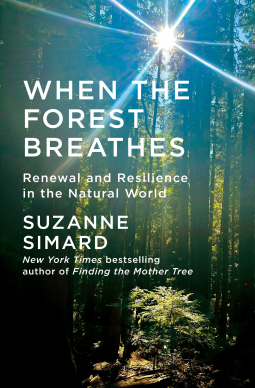book cover for When the Forest Breathes
