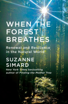 book cover for When the Forest Breathes