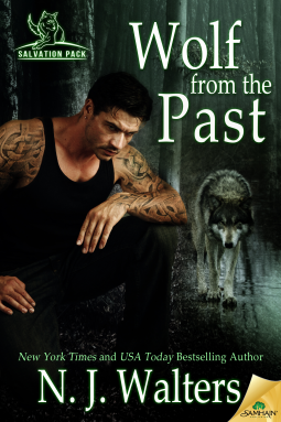 book cover for Wolf From the Past