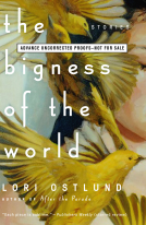 book cover for The Bigness of the World