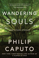 book cover for Wandering Souls