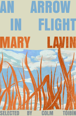 book cover for An Arrow in Flight
