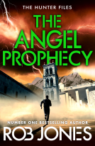 book cover for The Angel Prophecy