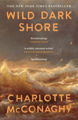 book cover for Wild Dark Shore