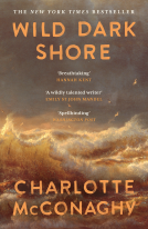 book cover for Wild Dark Shore
