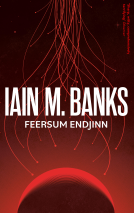 book cover for Feersum Endjinn