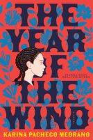 book cover for The Year of the Wind