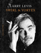 book cover for Swirl & Vortex