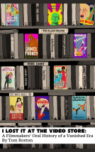 book cover for I Lost it at the Video Store