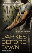 book cover for Darkest Before Dawn