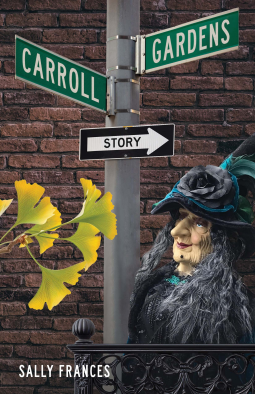 book cover for Carroll Gardens Story
