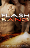Cover Image: Flash Bang