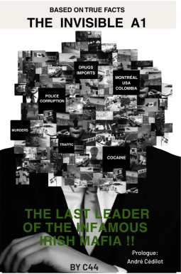 book cover for The Invisible A1