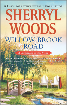 book cover for Willow Brook Road