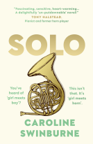 book cover for Solo