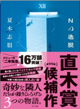 Ｎの逸脱 表紙