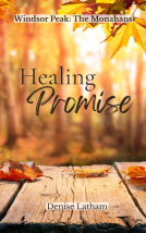 book cover for Healing Promise