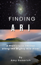 book cover for Finding Ari