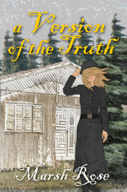 book cover for A Version of the Truth
