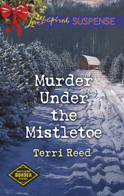 book cover for Murder Under the Mistletoe