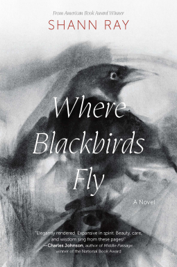 book cover for Where Blackbirds Fly