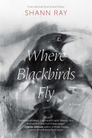 book cover for Where Blackbirds Fly
