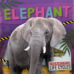 book cover for Elephant