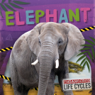 book cover for Elephant
