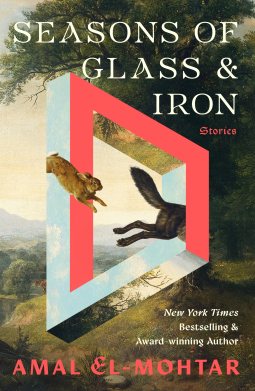 book cover for Seasons of Glass and Iron