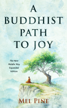 book cover for A Buddhist Path to Joy
