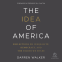 book cover for The Idea of America