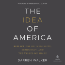 book cover for The Idea of America