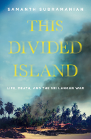 book cover for This Divided Island