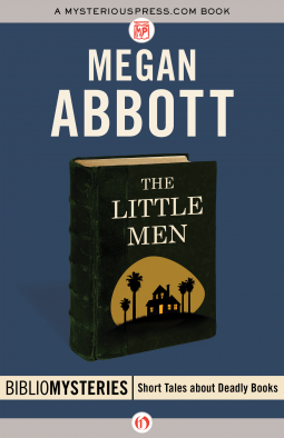 book cover for The Little Men