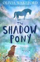 book cover for The Shadow Pony