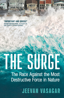 book cover for The Surge
